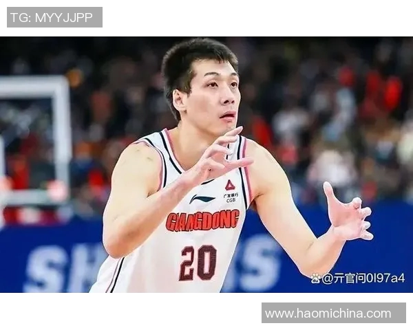 任骏飞在篮球赛场上的精彩表现与职业生涯发展分析